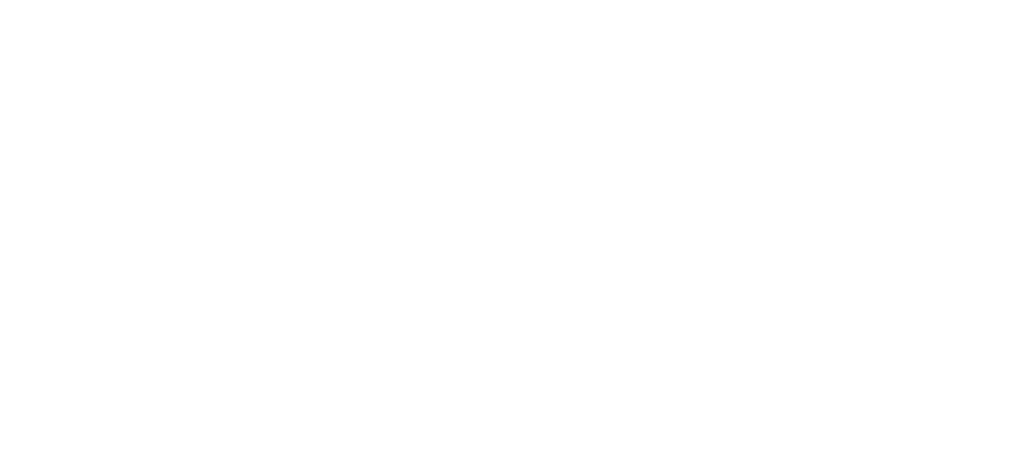 PM-Solutions logo stacked i hvid uden baggrund